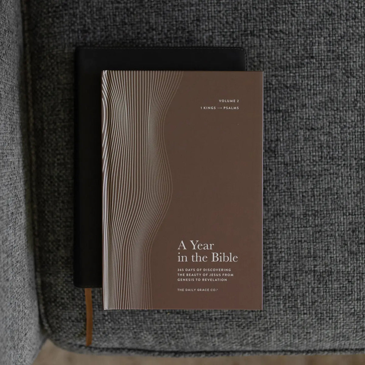 A Year In The Bible | The Daily Grace Co.