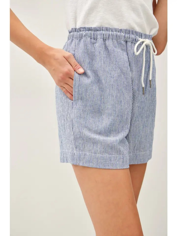 Pinstriped Shorts: Blue