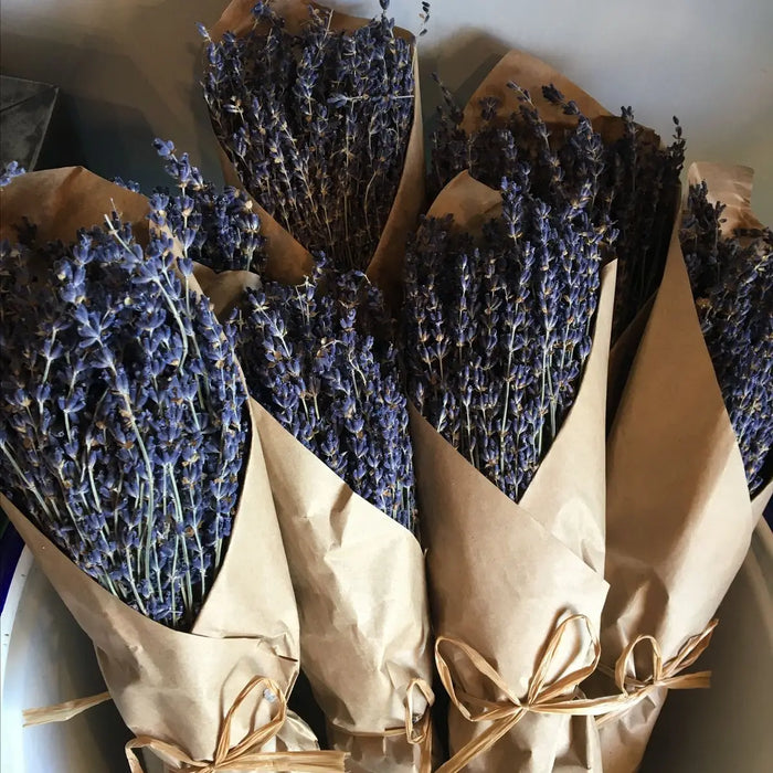 Lavender Bundles