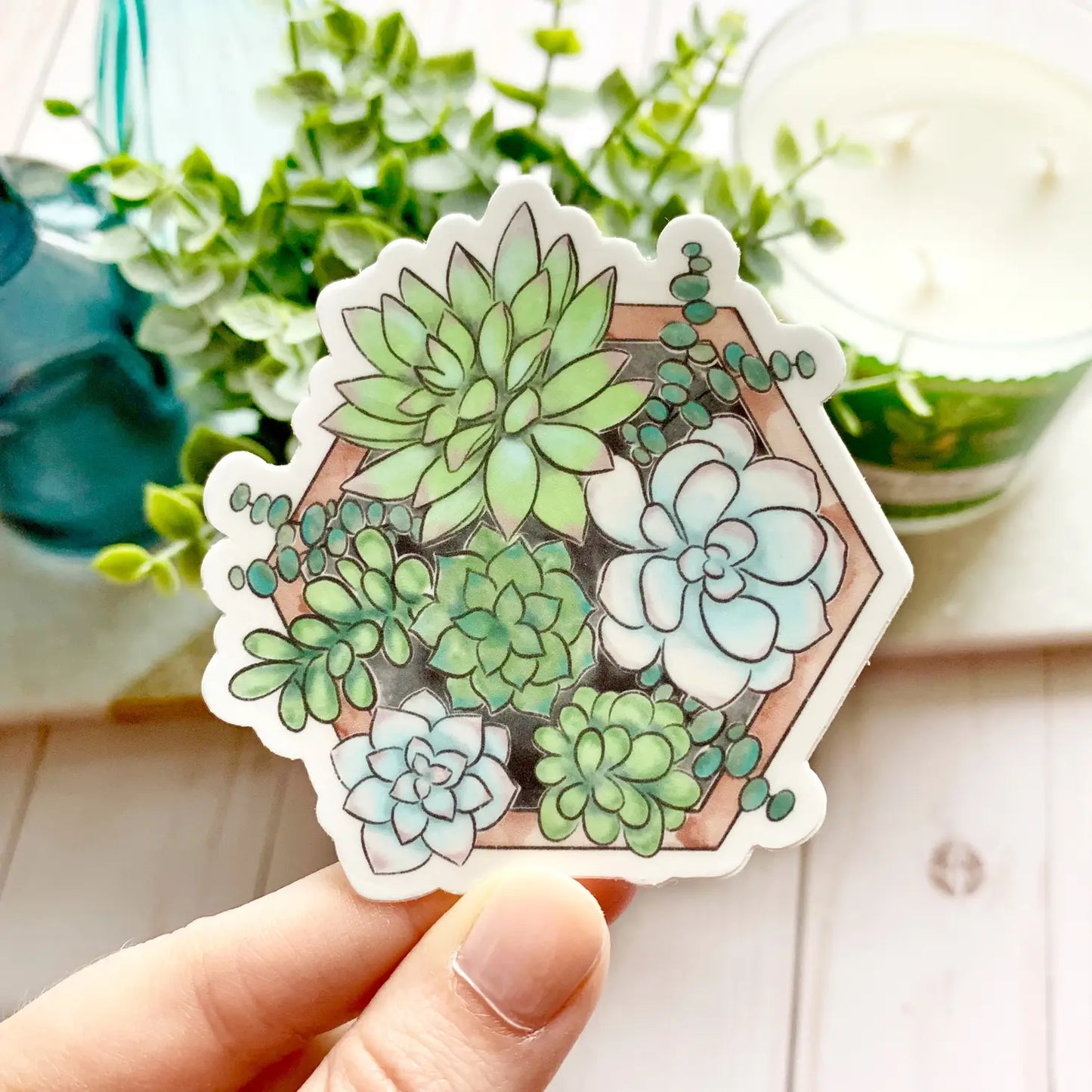 Watercolor Succulent Sticker
