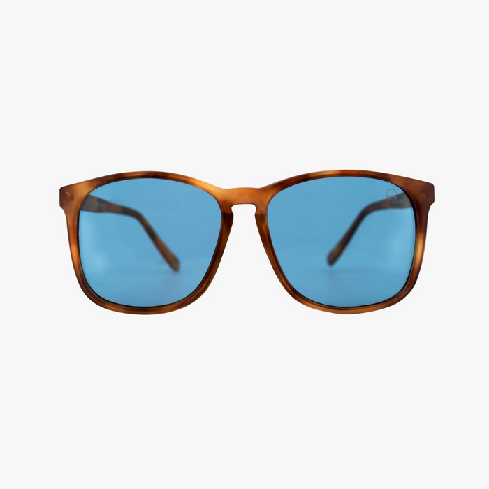 Carns Amber Tortoise Sunglasses